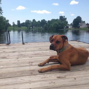 Meet your Posher, Maggie mae